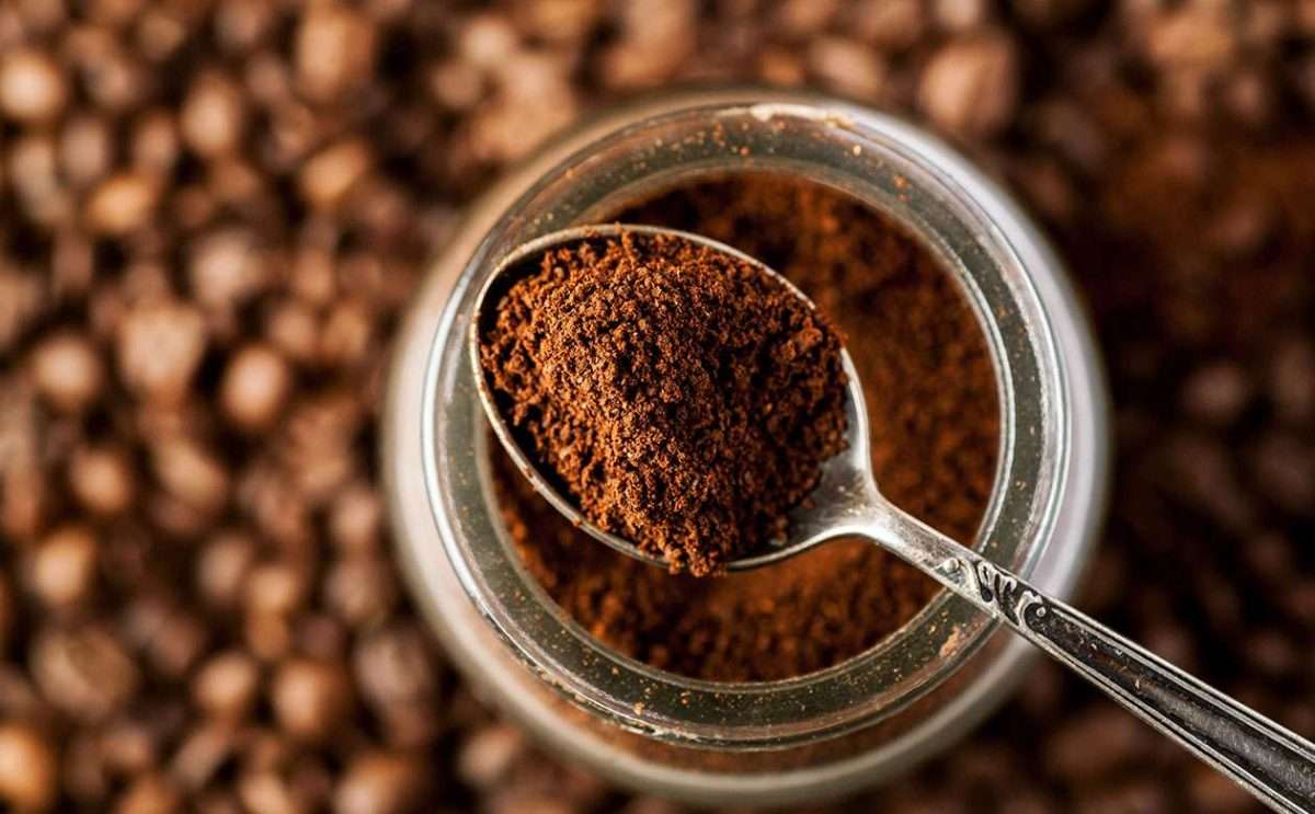 Coffee